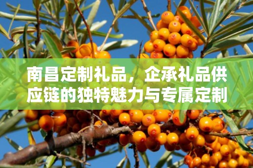 南昌定制礼品，企承礼品供应链的独特魅力与专属定制体验